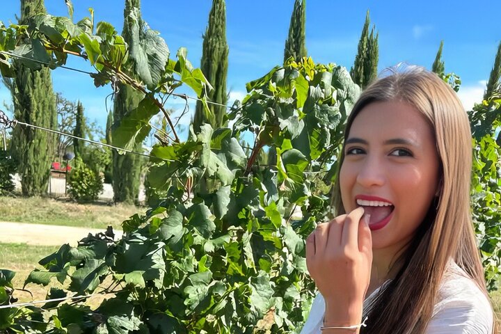 Excursão guiada de um dia inteiro pela Toscana a partir de Florença, visitando Pisa, San Gimignano e Siena com prova de vinhos, foto 8 | wizardtrip