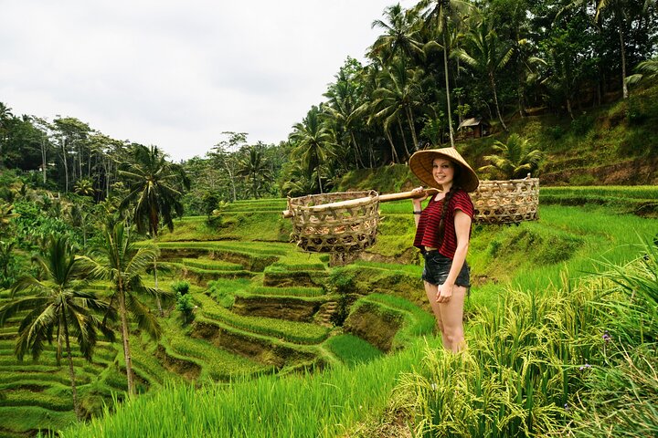 Private 1-Day Ubud Highlights Tour | wizardtrip