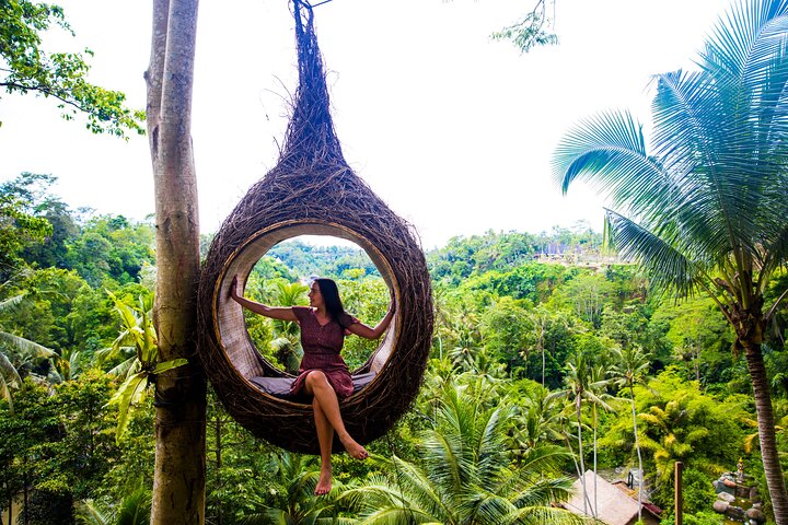 Private tour exploring Ubud's highlights including rice terraces, waterfalls, and monkey forest in Bali, photo 6 | wizardtrip