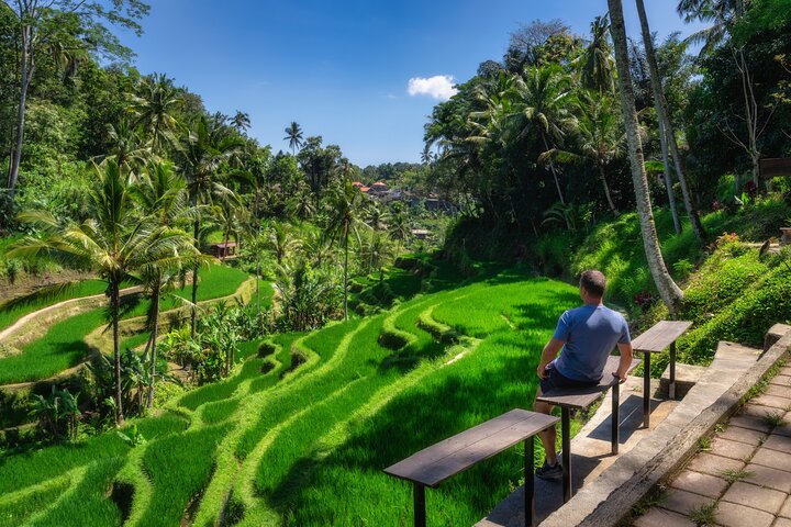 Private tour exploring Ubud's highlights including rice terraces, waterfalls, and monkey forest in Bali, photo 7 | wizardtrip