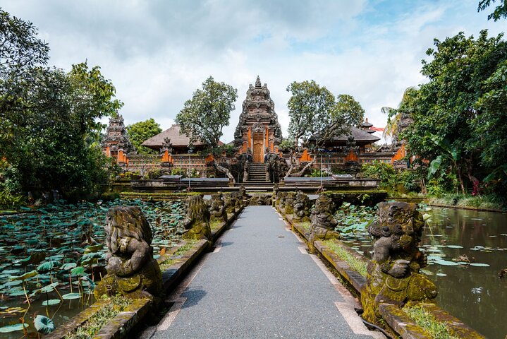 Private tour exploring Ubud's highlights including rice terraces, waterfalls, and monkey forest in Bali, photo 12 | wizardtrip