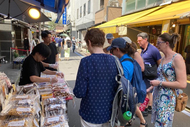 Private geführte Tour durch Tokios Highlights, einschließlich Märkten, Tempeln und Schreinen, Foto 9 | wizardtrip