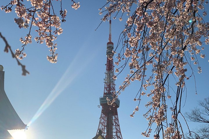 Private geführte Tour durch Tokios Highlights, einschließlich Märkten, Tempeln und Schreinen, Foto 22 | wizardtrip