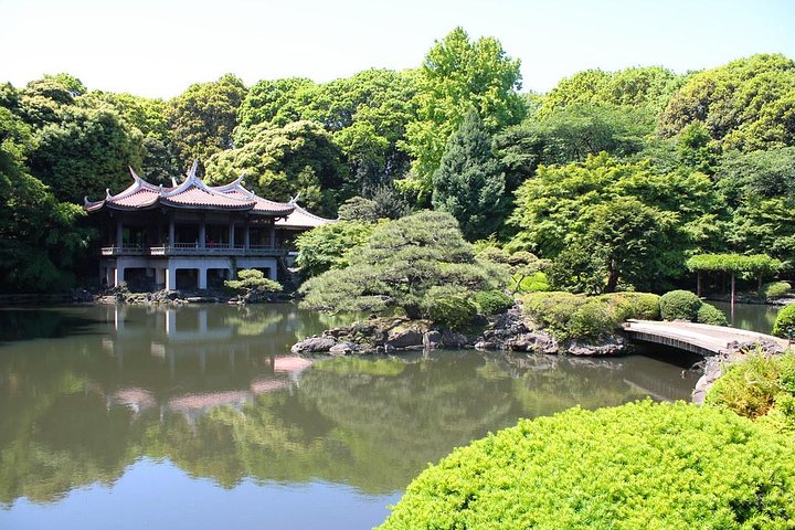 Private geführte Tour durch Tokios Highlights, einschließlich Märkten, Tempeln und Schreinen, Foto 36 | wizardtrip