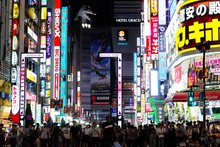Private geführte Tour durch Tokios Highlights, einschließlich Märkten, Tempeln und Schreinen, Foto 39 | wizardtrip
