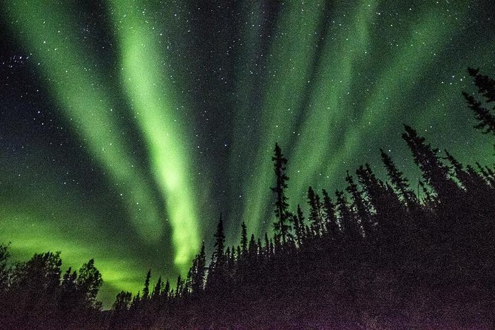 Passeio em pequenos grupos ao Círculo Polar Ártico a partir de Fairbanks para ver a Aurora Boreal, foto 10 | wizardtrip