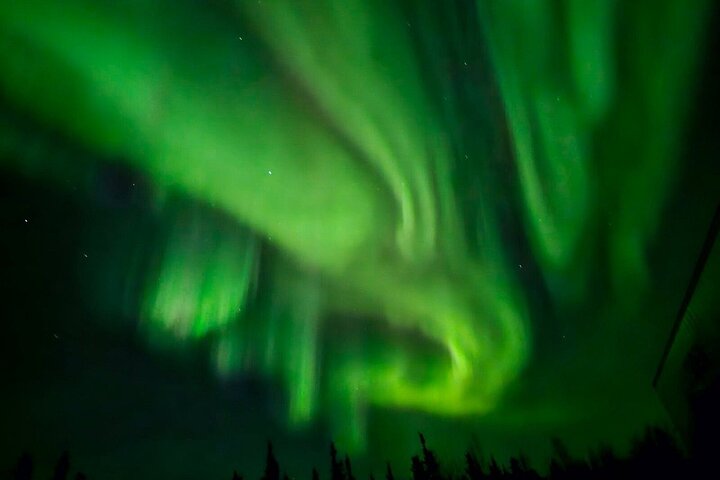 Passeio em pequenos grupos ao Círculo Polar Ártico a partir de Fairbanks para ver a Aurora Boreal, foto 14 | wizardtrip