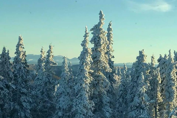 Passeio em pequenos grupos ao Círculo Polar Ártico a partir de Fairbanks para ver a Aurora Boreal, foto 17 | wizardtrip