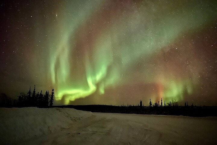 Passeio em pequenos grupos ao Círculo Polar Ártico a partir de Fairbanks para ver a Aurora Boreal, foto 22 | wizardtrip