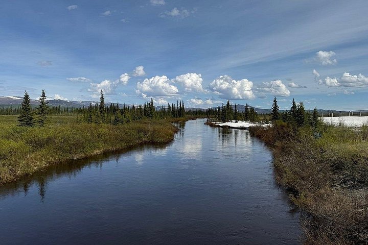 Day tour to the Arctic Circle from Fairbanks, Alaska, featuring the Dalton Highway and wilderness, photo 7 | wizardtrip