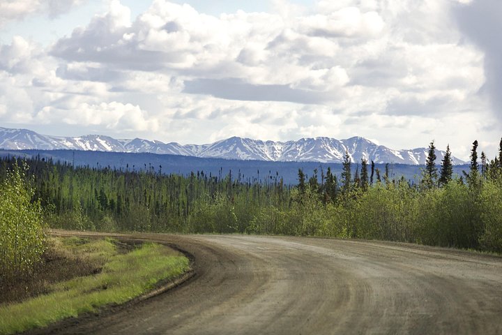 Day tour to the Arctic Circle from Fairbanks, Alaska, featuring the Dalton Highway and wilderness, photo 15 | wizardtrip