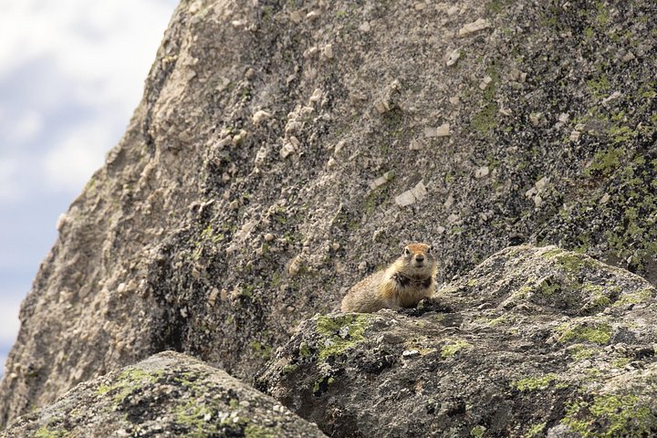 Day tour to the Arctic Circle from Fairbanks, Alaska, featuring the Dalton Highway and wilderness, photo 17 | wizardtrip