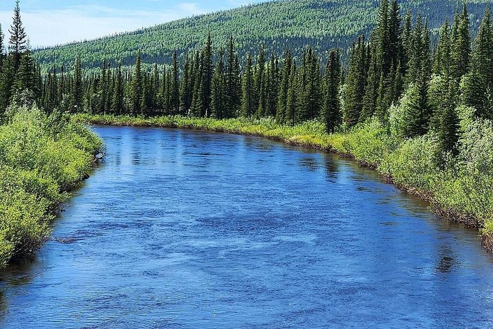 Day tour to the Arctic Circle from Fairbanks, Alaska, featuring the Dalton Highway and wilderness, photo 18 | wizardtrip