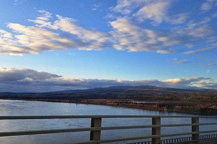 Day tour to the Arctic Circle from Fairbanks, Alaska, featuring the Dalton Highway and wilderness, photo 20 | wizardtrip