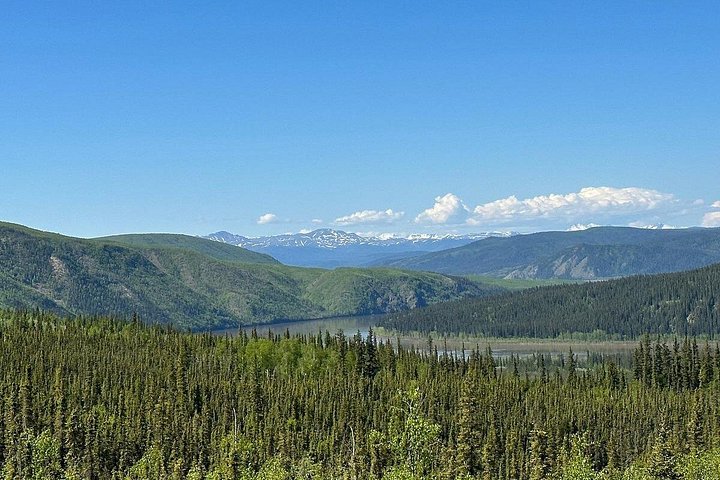 Day tour to the Arctic Circle from Fairbanks, Alaska, featuring the Dalton Highway and wilderness, photo 27 | wizardtrip