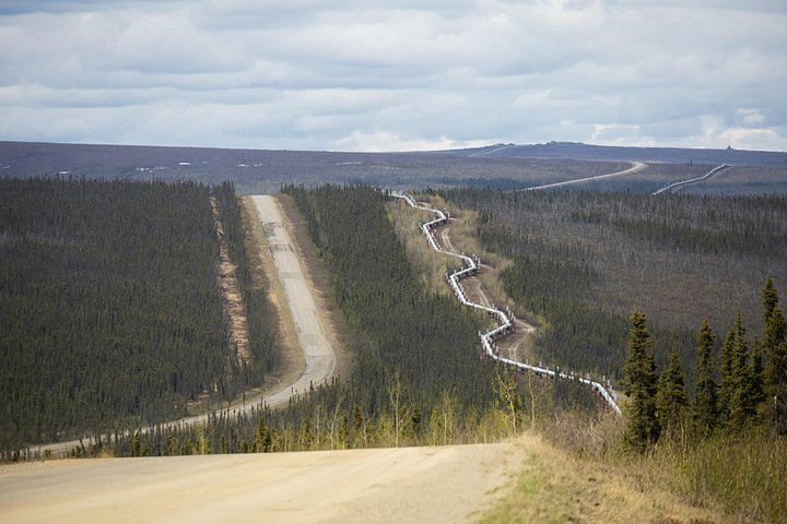 Day tour to the Arctic Circle from Fairbanks, Alaska, featuring the Dalton Highway and wilderness, photo 29 | wizardtrip