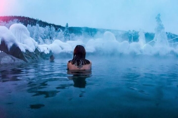 Northern Lights & Chena Hot Springs Tour | wizardtrip