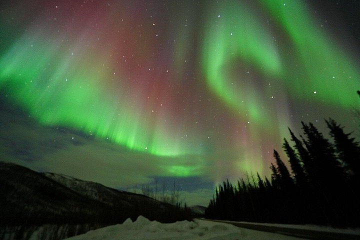 Tour nocturno a Chena Hot Springs desde Fairbanks, con el Aurora Ice Museum y observación de Luces del Norte, foto 7 | wizardtrip