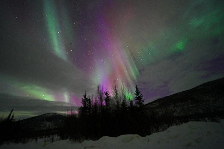 Tour nocturno a Chena Hot Springs desde Fairbanks, con el Aurora Ice Museum y observación de Luces del Norte, foto 12 | wizardtrip