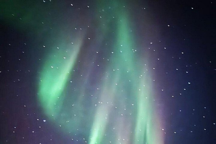 Tour nocturno a Chena Hot Springs desde Fairbanks, con el Aurora Ice Museum y observación de Luces del Norte, foto 15 | wizardtrip