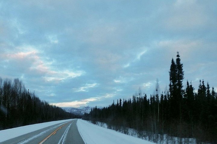 Tour nocturno a Chena Hot Springs desde Fairbanks, con el Aurora Ice Museum y observación de Luces del Norte, foto 16 | wizardtrip