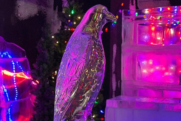 Tour nocturno a Chena Hot Springs desde Fairbanks, con el Aurora Ice Museum y observación de Luces del Norte, foto 17 | wizardtrip