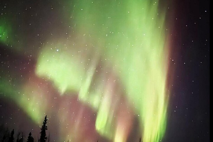 Tour nocturno a Chena Hot Springs desde Fairbanks, con el Aurora Ice Museum y observación de Luces del Norte, foto 18 | wizardtrip