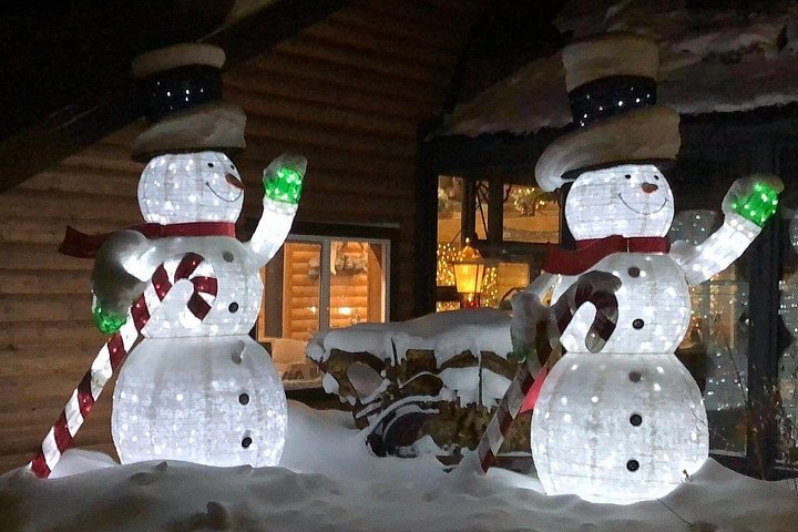 Tour nocturno a Chena Hot Springs desde Fairbanks, con el Aurora Ice Museum y observación de Luces del Norte, foto 21 | wizardtrip