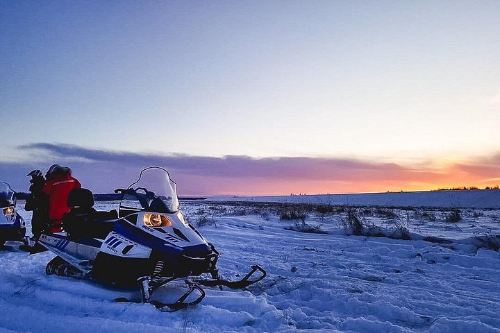 Experience an exhilarating snowmobile adventure in the winter wonderland of Fairbanks, Alaska, photo 6 | wizardtrip