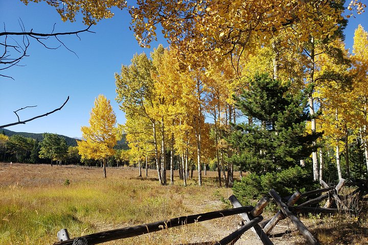 Half-day mountain tour from Denver to Red Rocks, Evergreen, and Echo Lake, photo 13 | wizardtrip