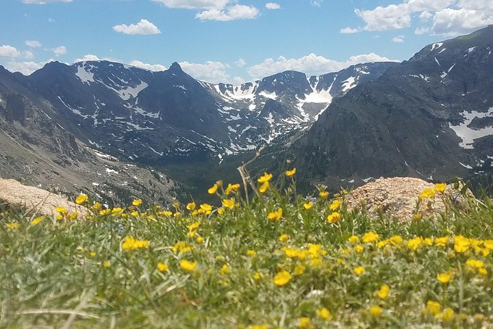Rocky Mountain National Park Summer Tour from Denver | wizardtrip