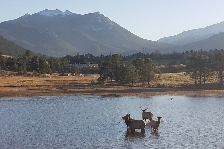 Tour panoramico del Rocky Mountain National Park da Denver, con fauna selvatica, montagne ed Estes Park, foto 11 | wizardtrip