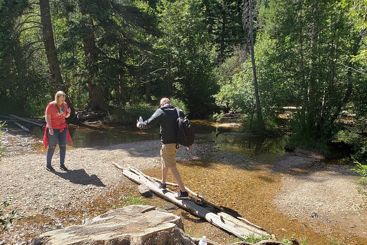 Tour panoramico del Rocky Mountain National Park da Denver, con fauna selvatica, montagne ed Estes Park, foto 13 | wizardtrip