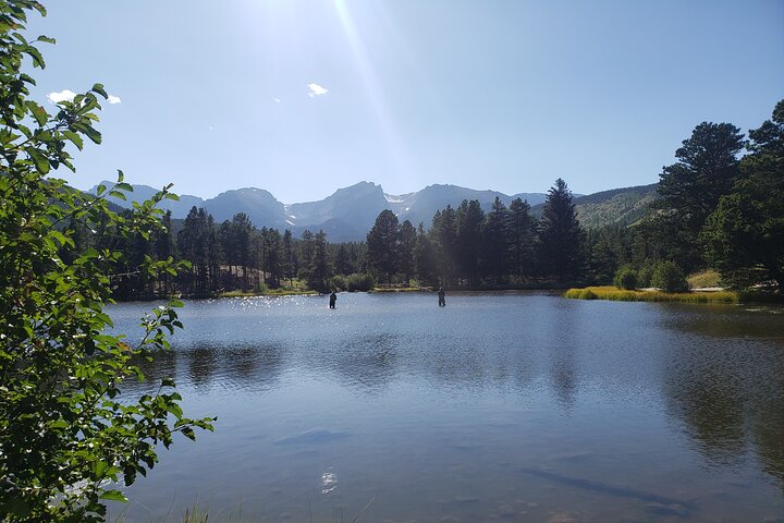 Tour panoramico del Rocky Mountain National Park da Denver, con fauna selvatica, montagne ed Estes Park, foto 16 | wizardtrip