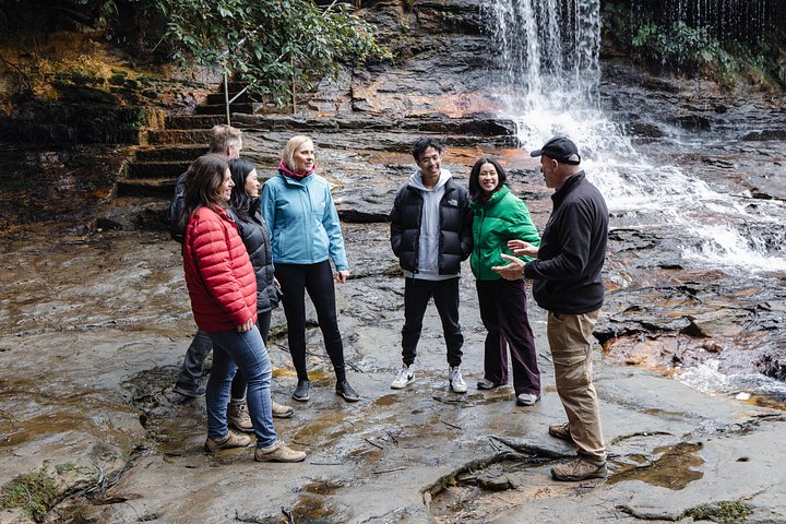Explora el Parque Nacional Blue Mountains con caminatas guiadas, cascadas y encuentros con la vida silvestre, foto 6 | wizardtrip