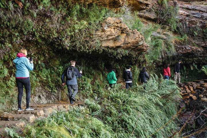 Explora el Parque Nacional Blue Mountains con caminatas guiadas, cascadas y encuentros con la vida silvestre, foto 8 | wizardtrip