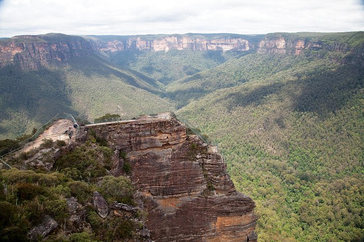 Explora el Parque Nacional Blue Mountains con caminatas guiadas, cascadas y encuentros con la vida silvestre, foto 9 | wizardtrip