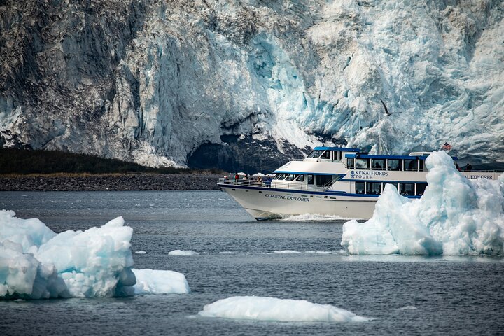 Kenai Fjords National Park Glacier and Wildlife Tour from Seward | wizardtrip
