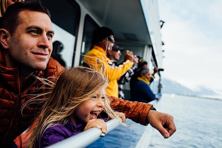 Passeio de barco cénico no Parque Nacional Kenai Fjords, Alasca, mostrando glaciares e vida selvagem, foto 6 | wizardtrip