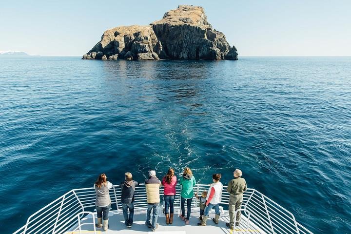Passeio de barco cénico no Parque Nacional Kenai Fjords, Alasca, mostrando glaciares e vida selvagem, foto 8 | wizardtrip