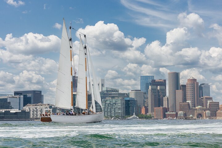 Excursion d'une journée à la voile dans le port de Boston | wizardtrip