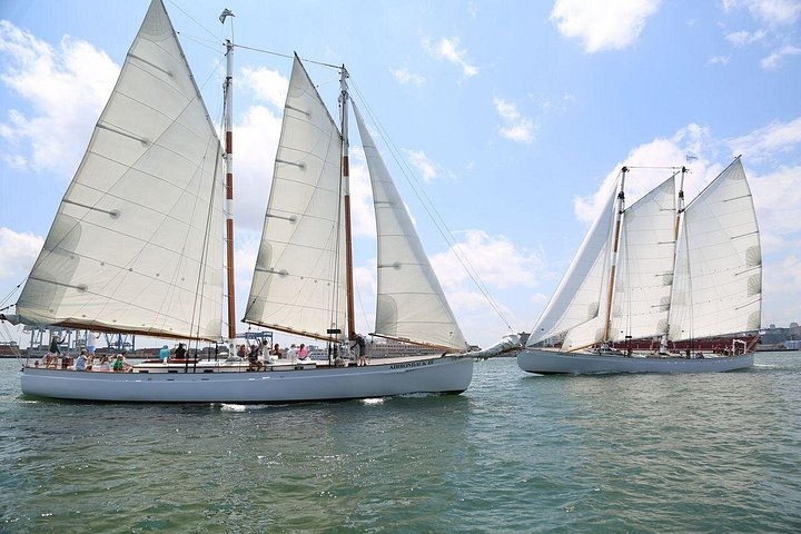 Klassische Schoner-Segeltour um den Boston Harbor mit Blick auf die Skyline und die Inseln, Foto 7 | wizardtrip