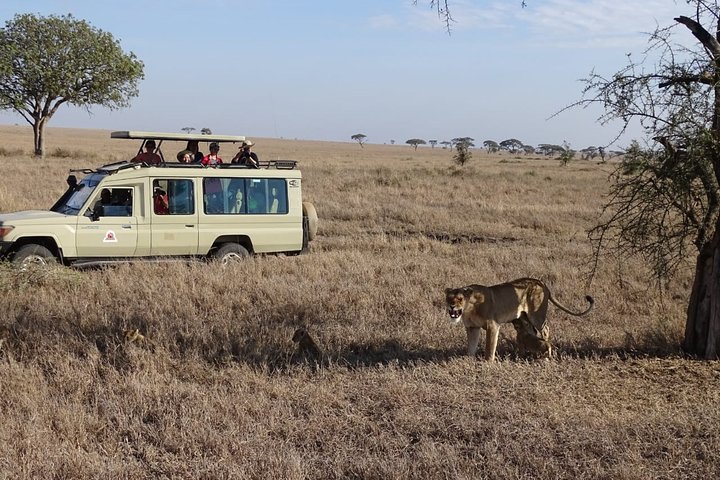 Experimente uma aventura de safari em grupo de 3 dias na Reserva Nacional Maasai Mara do Quénia, com observação de vida selvagem e encontros culturais, foto 8 | wizardtrip