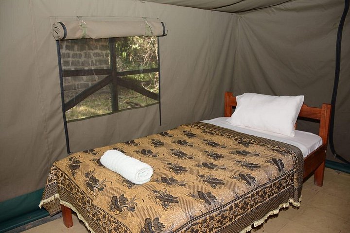 Experimente uma aventura de safari em grupo de 3 dias na Reserva Nacional Maasai Mara do Quénia, com observação de vida selvagem e encontros culturais, foto 12 | wizardtrip