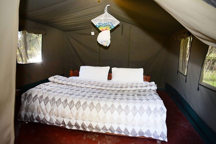 Experimente uma aventura de safari em grupo de 3 dias na Reserva Nacional Maasai Mara do Quénia, com observação de vida selvagem e encontros culturais, foto 13 | wizardtrip