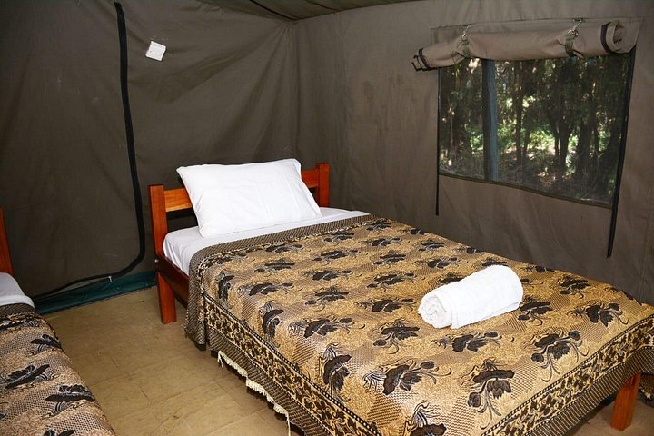 Experimente uma aventura de safari em grupo de 3 dias na Reserva Nacional Maasai Mara do Quénia, com observação de vida selvagem e encontros culturais, foto 14 | wizardtrip