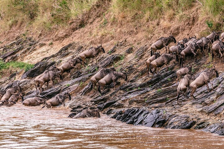 Experimente uma aventura de safari em grupo de 3 dias na Reserva Nacional Maasai Mara do Quénia, com observação de vida selvagem e encontros culturais, foto 21 | wizardtrip