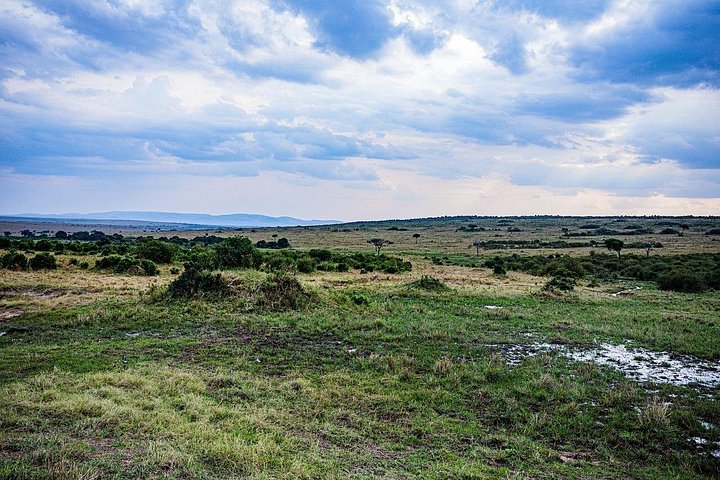 Experimente uma aventura de safari em grupo de 3 dias na Reserva Nacional Maasai Mara do Quénia, com observação de vida selvagem e encontros culturais, foto 23 | wizardtrip