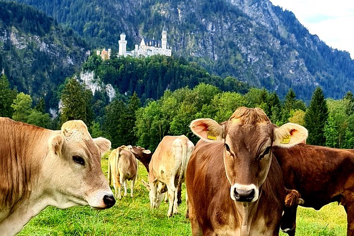 Guidet tur til Neuschwanstein slott, et eventyrlandemerke i Füssen, Tyskland, foto 7 | wizardtrip