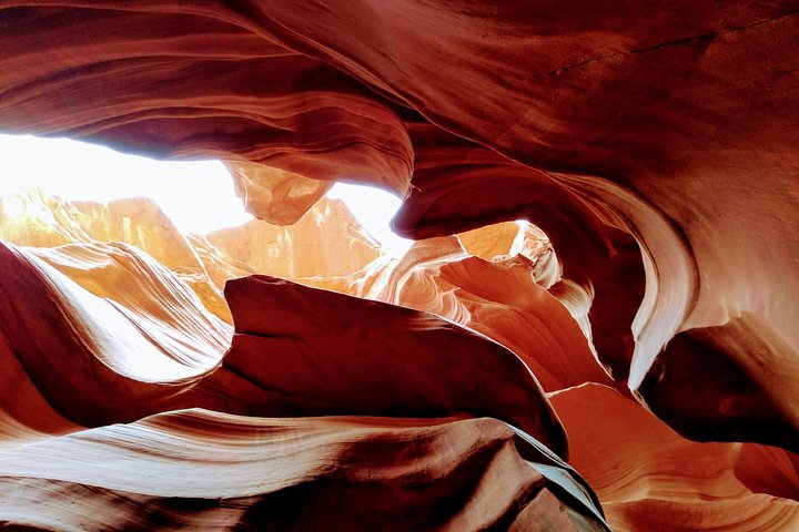 Verken de gevormde zandsteenwanden van Lower Antelope Canyon met een Navajo-gids in Page, Arizona, foto 12 | wizardtrip
